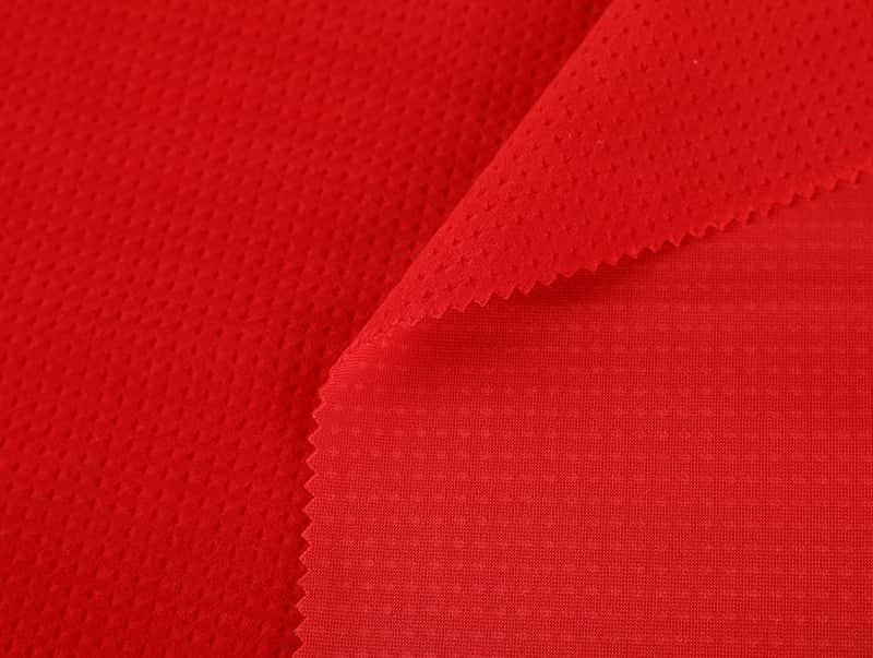 New Embossed Sofa Upholstery Polyester Fabric Velvet CX055